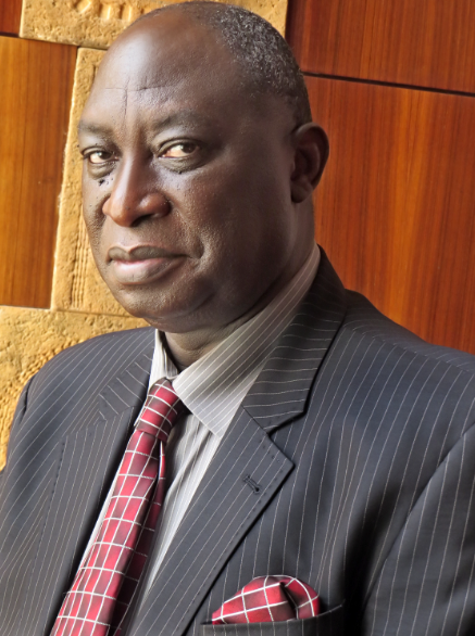 H.E. Ambassador Inza Camara