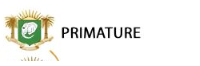 Primature
